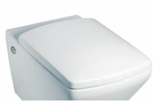 Kohler&nbsp;Escale Soft Closing Toilet Seat and Cover