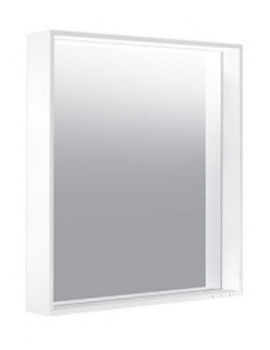 Plan Mirror with Warm White LED light 650mm