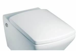 Escale Soft Closing Toilet Seat and Cover