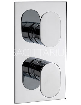 Plaza Concealed Thermostatic Shower Valve