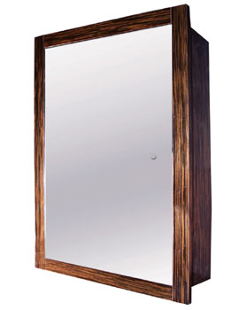Vessini Trio Recessed Cabinet Mirror Door with Shelves