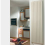 Zehnder (Acova)&nbsp;Zehnder Fassane Vertical Double Panel