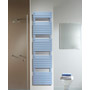 Zehnder (Acova)&nbsp;Zehnder Altai Spa Single Radiator