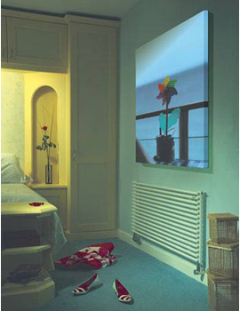 Zehnder Kleo Horizontal Single Tube Radiator